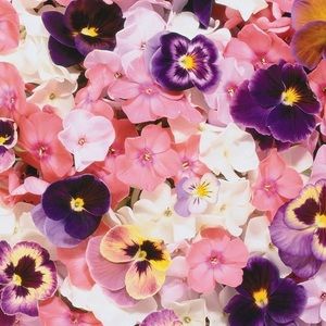 Meet your Posher, Bubs